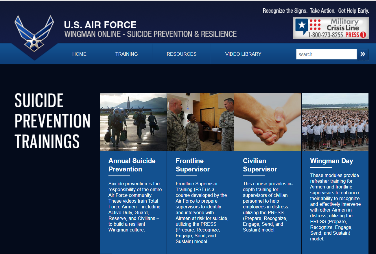 USAF Wingman Online image